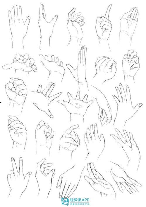 马变成人的画法视频教学,跟随画法视频学习人体结构转换技巧